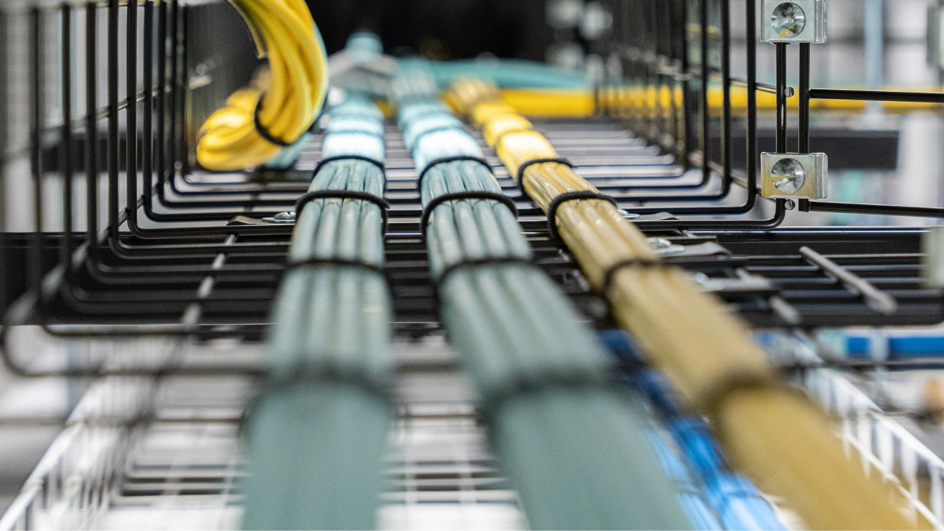 Overhead cable trays in a data centre with neatly arranged yellow and teal network cables